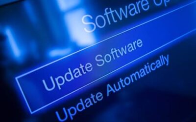 The Importance of Regular Plugin Updates and How They Affect Your Site and Your Business
